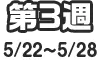 第3週